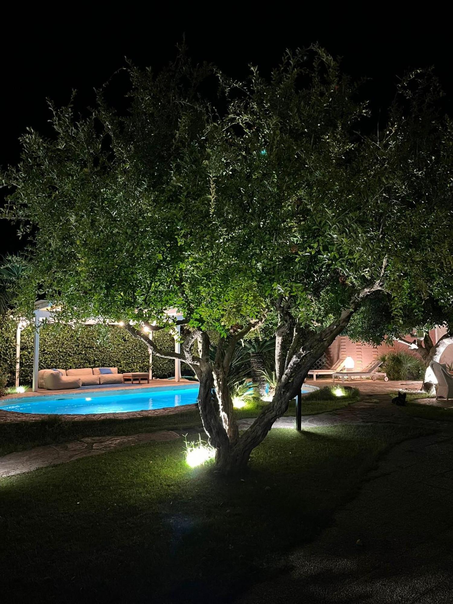 Kale Bed and Breakfast Giovinazzo Eksteriør billede